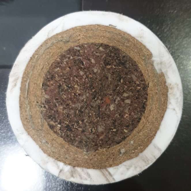 Haca Match Dimple Hockey Ball, White Set of 6